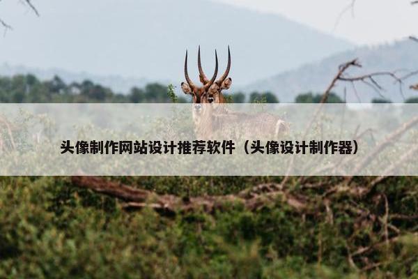 头像制作网站设计推荐软件（头像设计制作器）