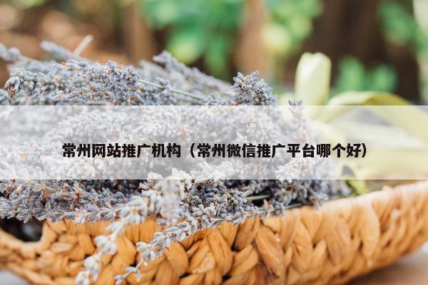 常州网站推广机构（常州微信推广平台哪个好）