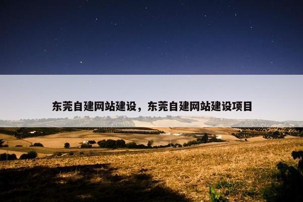 东莞自建网站建设，东莞自建网站建设项目