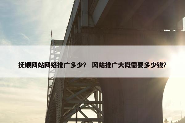 抚顺网站网络推广多少？ 网站推广大概需要多少钱？