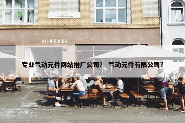 专业气动元件网站推广公司？ 气动元件有限公司？
