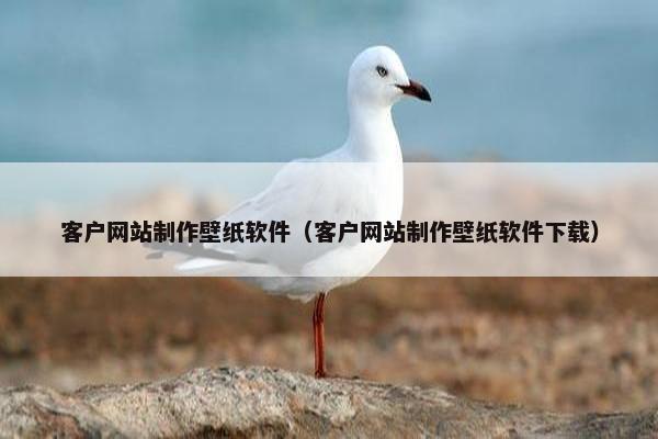 客户网站制作壁纸软件（客户网站制作壁纸软件下载）