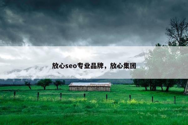 放心seo专业品牌，放心集团