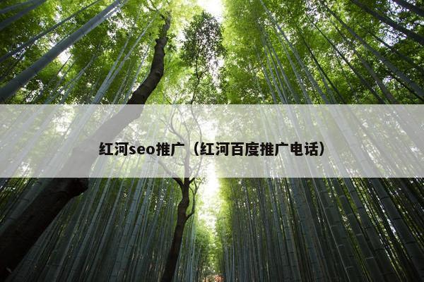 红河seo推广（红河百度推广电话）
