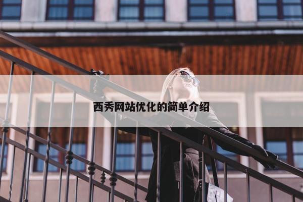 西秀网站优化的简单介绍