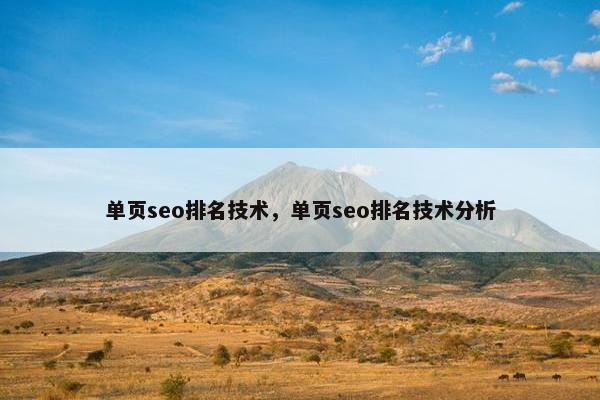 单页seo排名技术，单页seo排名技术分析