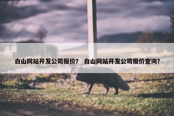 白山网站开发公司报价？ 白山网站开发公司报价查询？