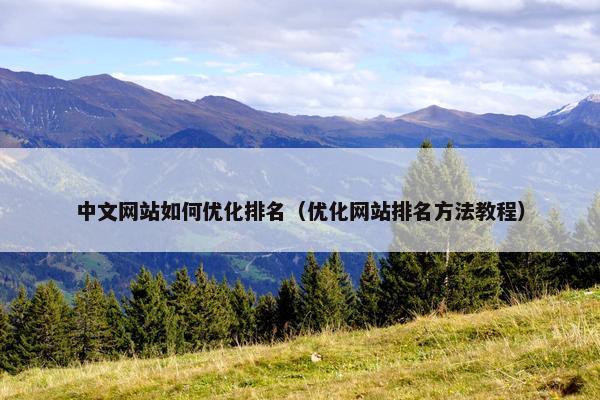 中文网站如何优化排名（优化网站排名方法教程）
