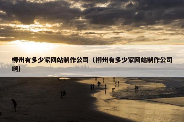 柳州有多少家网站制作公司（柳州有多少家网站制作公司啊）