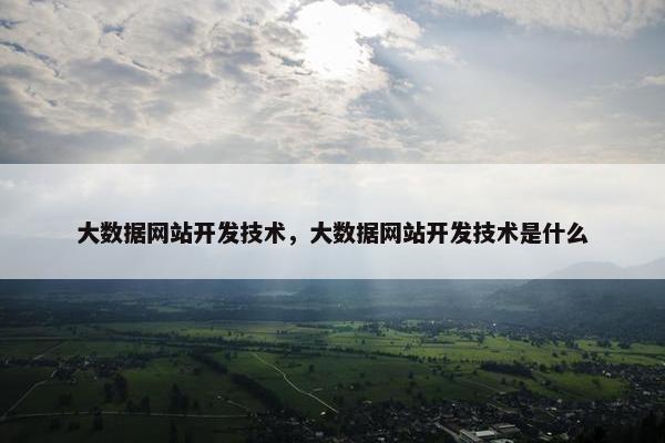 大数据网站开发技术，大数据网站开发技术是什么