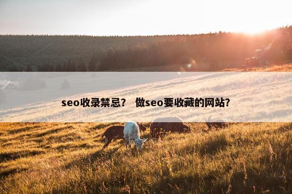 seo收录禁忌？ 做seo要收藏的网站？