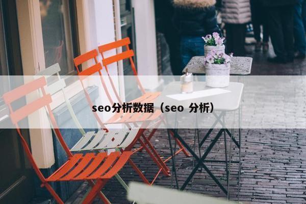 seo分析数据（seo 分析）