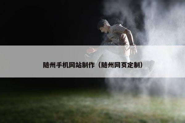随州手机网站制作（随州网页定制）