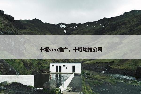十堰seo推广，十堰地推公司