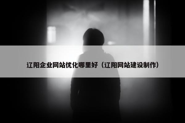辽阳企业网站优化哪里好（辽阳网站建设制作）