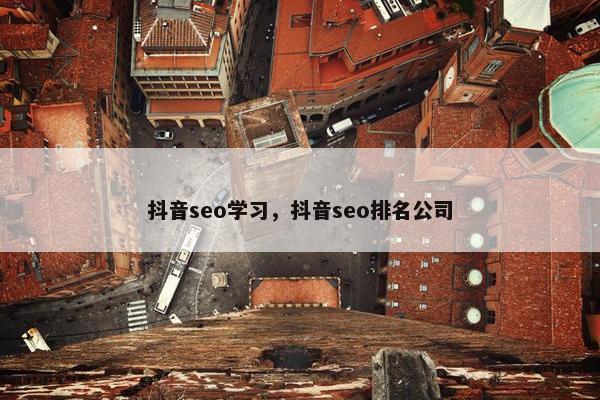 抖音seo学习，抖音seo排名公司