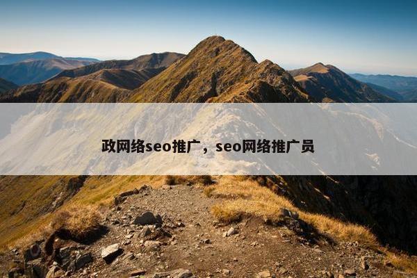 政网络seo推广，seo网络推广员