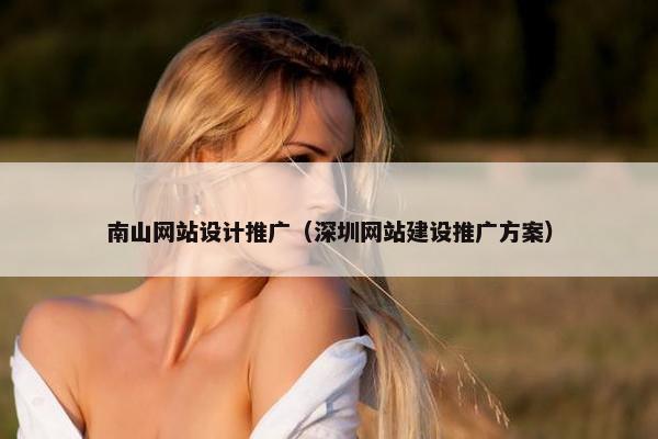 南山网站设计推广（深圳网站建设推广方案）