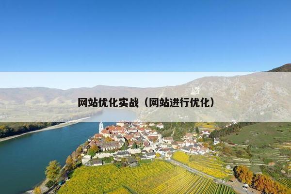 网站优化实战（网站进行优化）