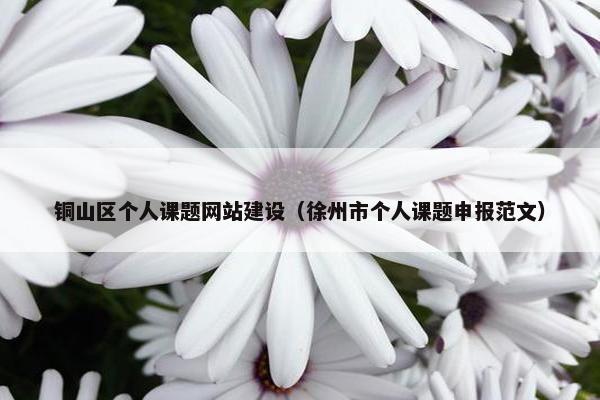 铜山区个人课题网站建设（徐州市个人课题申报范文）
