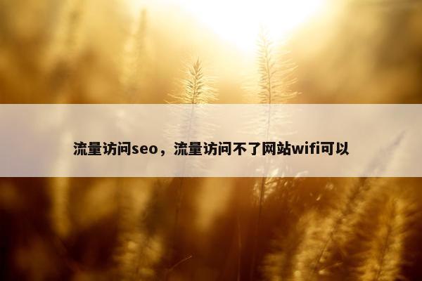 流量访问seo，流量访问不了网站wifi可以