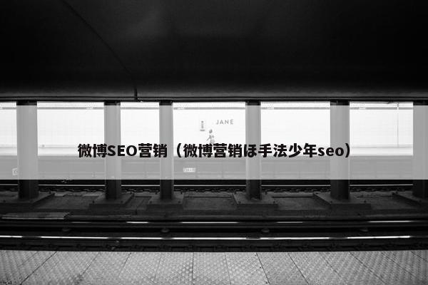 微博SEO营销（微博营销ほ手法少年seo）