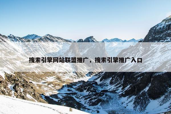 搜索引擎网站联盟推广，搜索引擎推广入口
