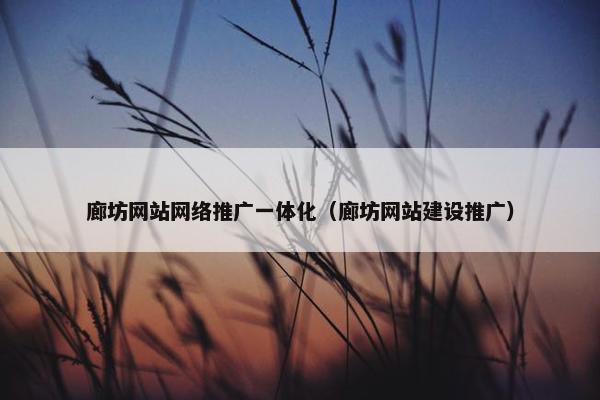 廊坊网站网络推广一体化（廊坊网站建设推广）