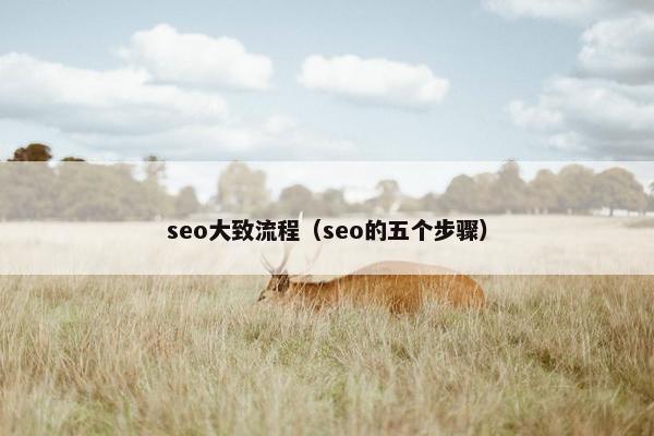 seo大致流程（seo的五个步骤）