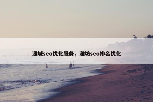 潍城seo优化服务，潍坊seo排名优化