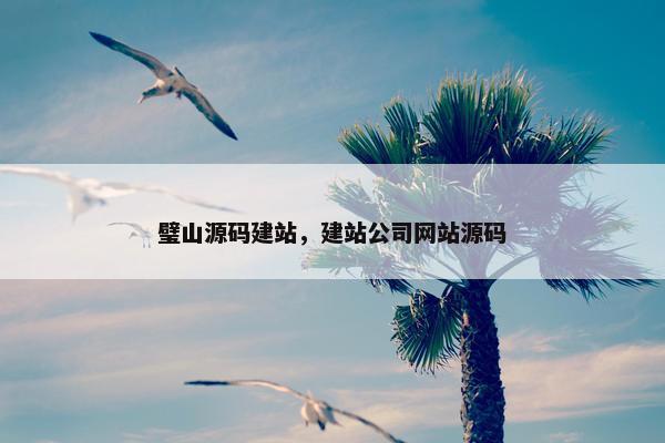 璧山源码建站，建站公司网站源码