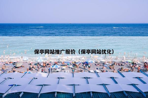 保亭网站推广报价（保亭网站优化）