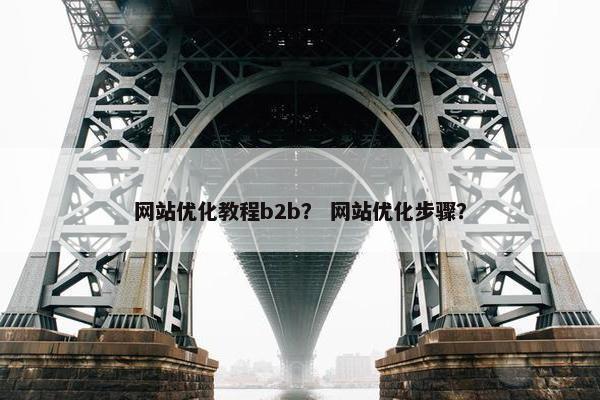 网站优化教程b2b？ 网站优化步骤？