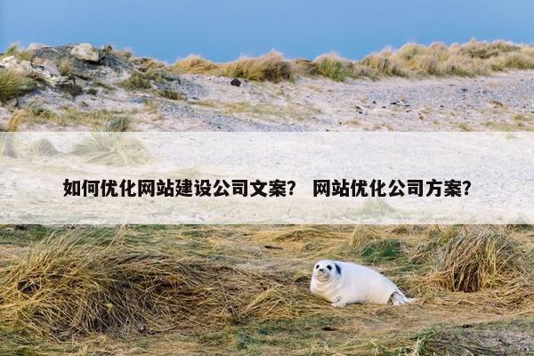 如何优化网站建设公司文案？ 网站优化公司方案？