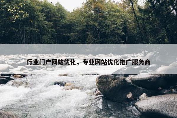 行业门户网站优化，专业网站优化推广服务商