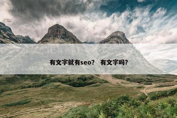 有文字就有seo？ 有文字吗？