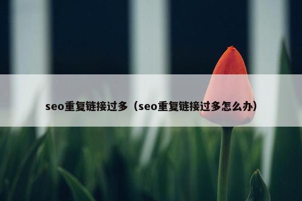seo重复链接过多（seo重复链接过多怎么办）