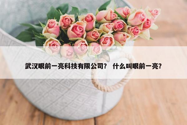 武汉眼前一亮科技有限公司？ 什么叫眼前一亮？