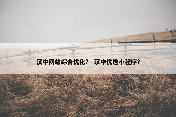 汉中网站综合优化？ 汉中优选小程序？