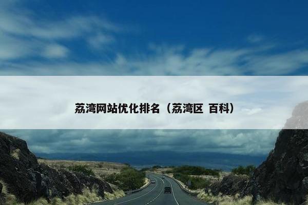 荔湾网站优化排名（荔湾区 百科）