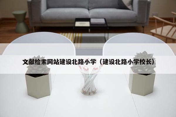 文献检索网站建设北路小学（建设北路小学校长）