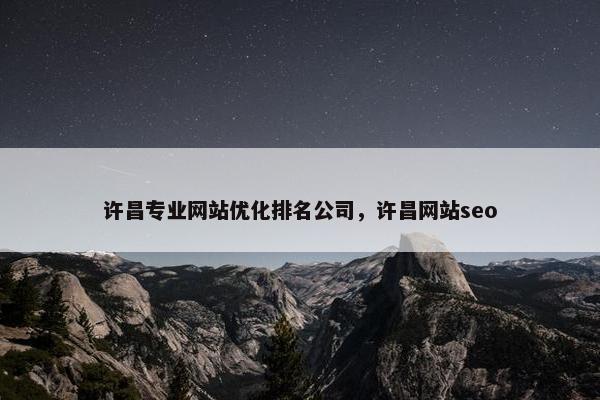 许昌专业网站优化排名公司，许昌网站seo