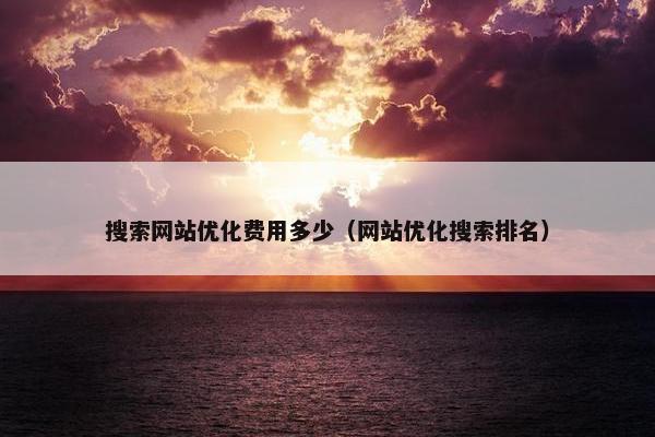 搜索网站优化费用多少（网站优化搜索排名）