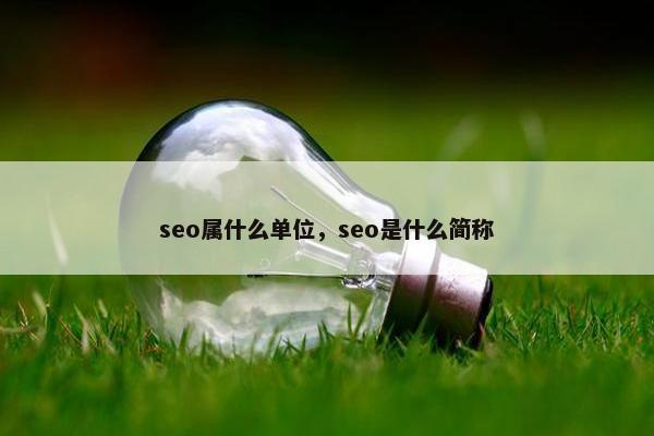 seo属什么单位，seo是什么简称