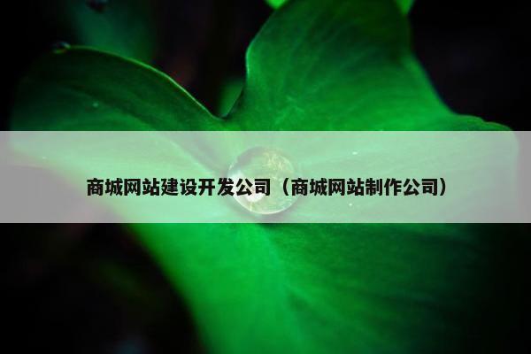 商城网站建设开发公司（商城网站制作公司）