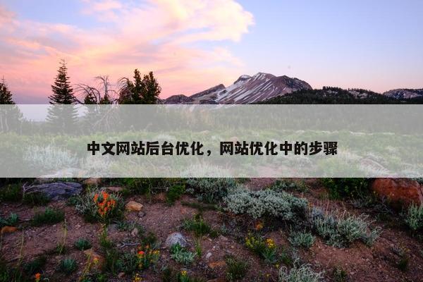 中文网站后台优化，网站优化中的步骤