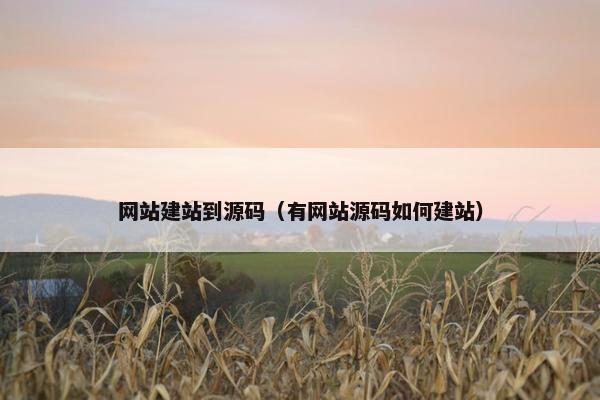 网站建站到源码（有网站源码如何建站）