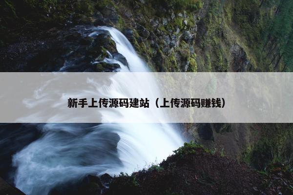 新手上传源码建站（上传源码赚钱）