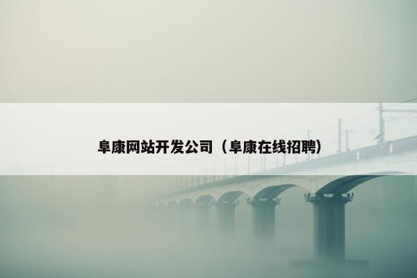 阜康网站开发公司（阜康在线招聘）