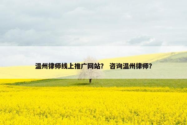 温州律师线上推广网站？ 咨询温州律师？